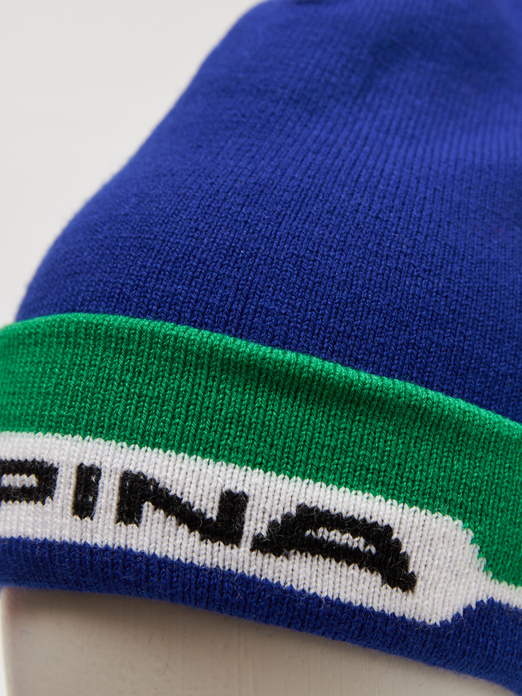 Спортивные шапки с логотипом Alpina